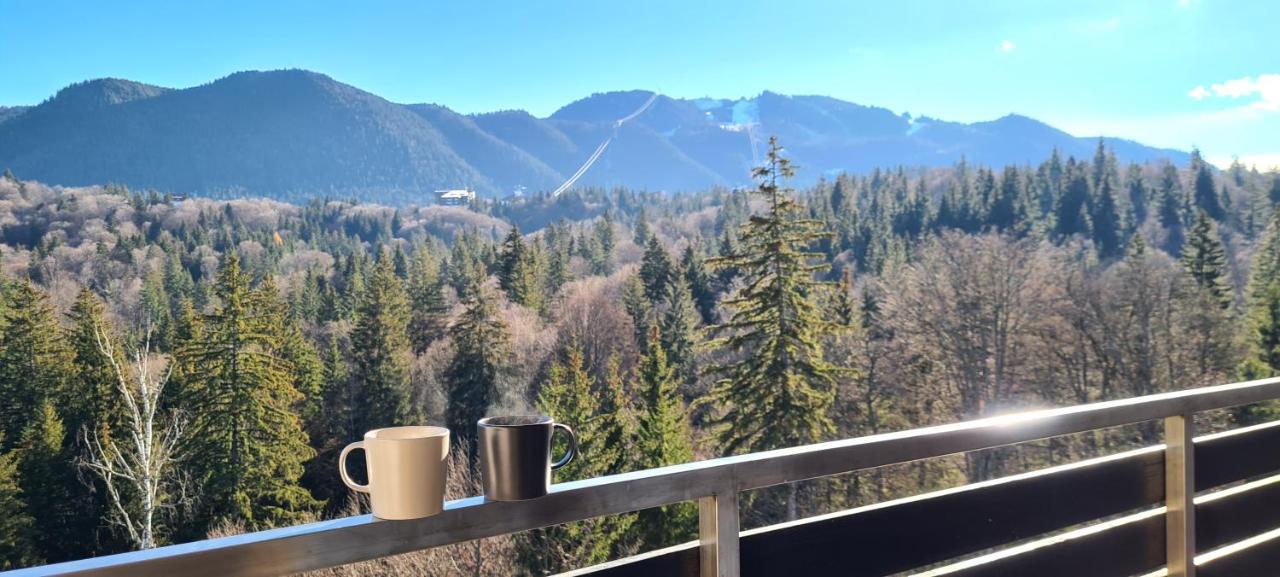 Silver Mountain Panoramic View C48 Пояна-Брашов Экстерьер фото